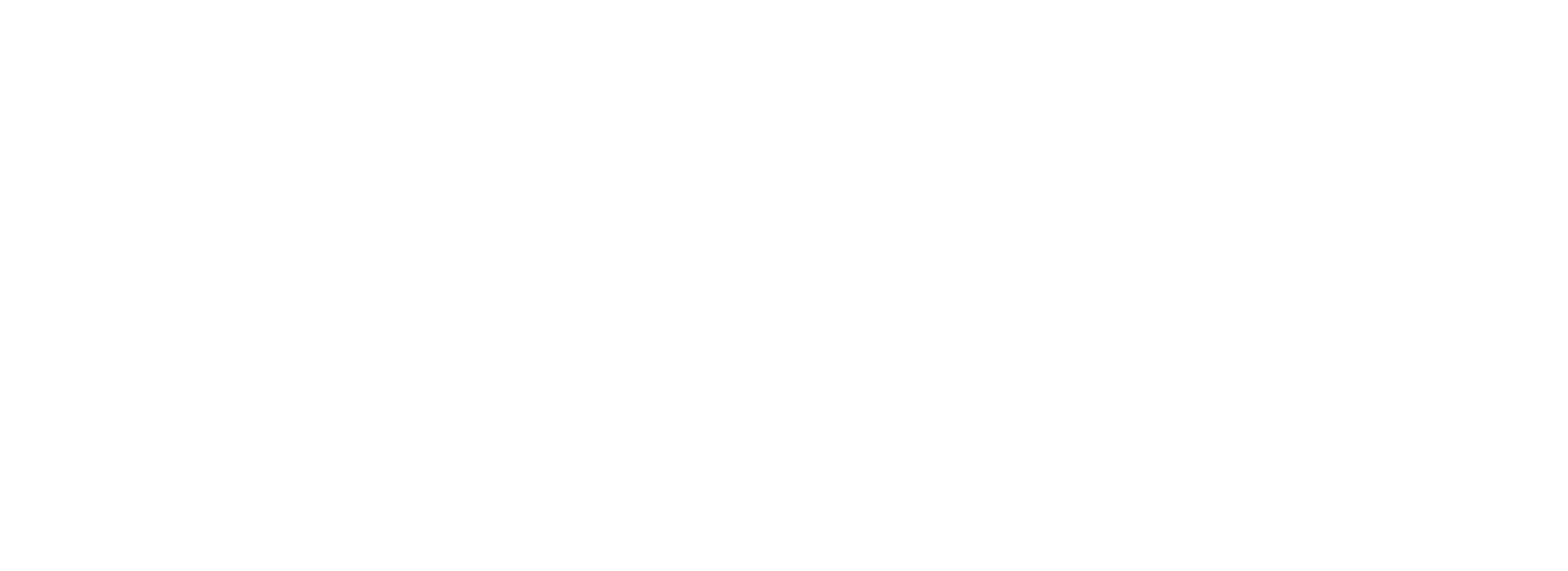 Orbitex Logotyp - Fot